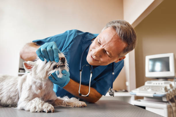 Best Emergency Root Canal Treatment in East Rutherford, NJ